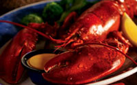 Tucson Red Lobster Restaurant